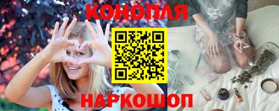 крисы Краснодар