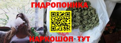 крисы Краснодар