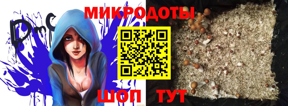 Галлюциногенные грибы мицелий Качканар
